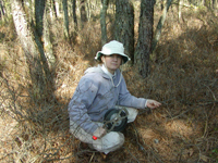 Water levels are measured in shallow observation wells installed in forest plots 